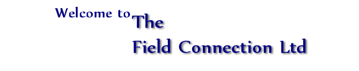 market research field connection